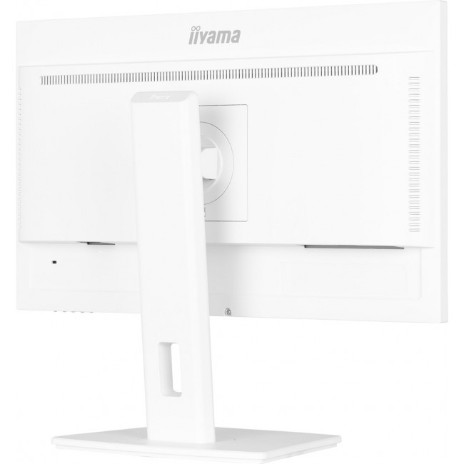iiyama ProLite 24 IPS technology panel with height adjustable stand and 100Hz refresh rate