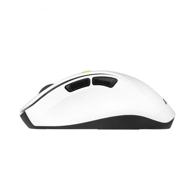 ASUS MD105 /VT-GN mouse Universal Right-hand RF Wireless + Bluetooth 2400 DPI ASUS MD105 /VT-GN mouse Universal Right-hand RF Wireless + Bluetooth 2400 DPI
