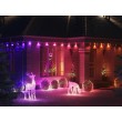 Twinkly Strings 750 RGB Christmas lights, black cable, plug type F Twinkly Strings 750 RGB Christmas lights, black cable, plug type F