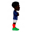 MINIX FRANCE - AURELIEN TCHOUAMENI
