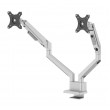 Neomounts DS70-250SL2 Monitor arm 17-32
