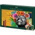 Faber-Castell Polychromos & Pitt Graphite Matt Set Multicolour 48 pc(s)