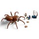 LEGO HARRY POTTER 76434 Aragog in the Forbidden Forest LEGO HARRY POTTER 76434 Aragog in the Forbidden Forest