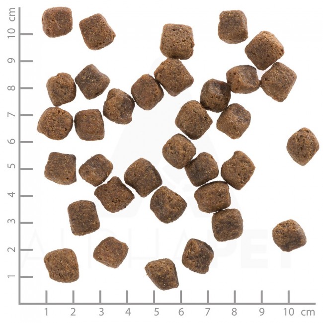 WOLFSBLUT Black Bird Turkey - dry dog food - 12,5kg