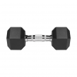 REBEL ACTIVE Rubber-coated cast iron dumbbells 2x8 kg