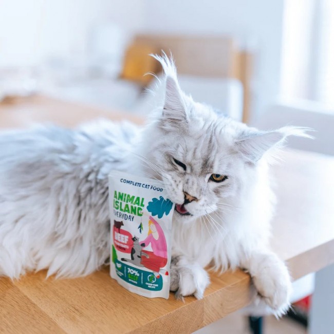 ANIMAL ISLAND Chicken / Beef Fillets in broth - wet cat food - 80x85g ANIMAL ISLAND Chicken / Beef Fillets in broth - wet cat food - 80x85g