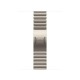 Apple 42mm Natural Link Bracelet Apple 42mm Natural Link Bracelet