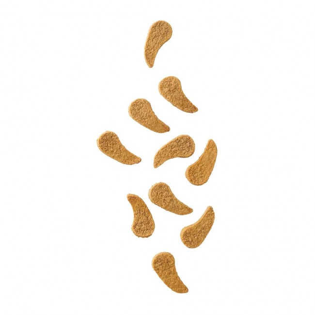 JOHN DOG Air-Dried Turkey dippers - dog treat - 80g JOHN DOG Air-Dried Turkey dippers - dog treat - 80g