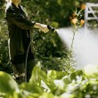 Fiskars 1065483 not categorized