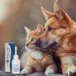 JM SANTE Vet Protector Uszy Plus - ear solution for dogs and cats 50 ml