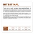 VETEXPERT Veterinary Diet Intestinal Dog - dry dog food - 12 kg VETEXPERT Veterinary Diet Intestinal Dog - dry dog food - 12 kg