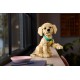 LEGO ICONS 11384 Golden Retriever Puppy LEGO ICONS 11384 Golden Retriever Puppy