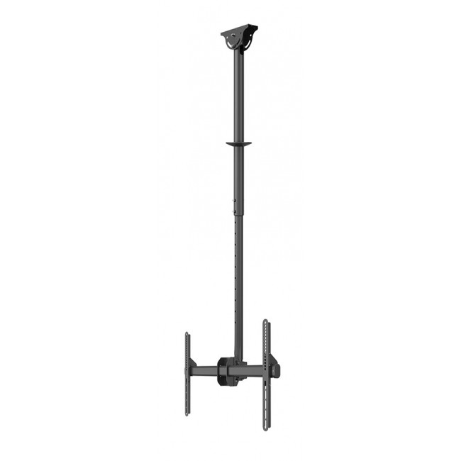 Neomounts CL35-440BL16L Monitor/TV mount ceiling 37-70