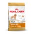 Royal Canin Poodle Adult 1.5 kg