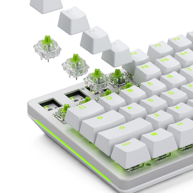 Glorious Gaming Glorious Raptor Clicky Mechanical Switches - 36 Pieces Glorious Gaming Glorious Raptor Clicky Mechanical Switches - 36 Pieces