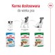 ROYAL CANIN Mini Ageing 12+ - wet dog food - 12 x 85g