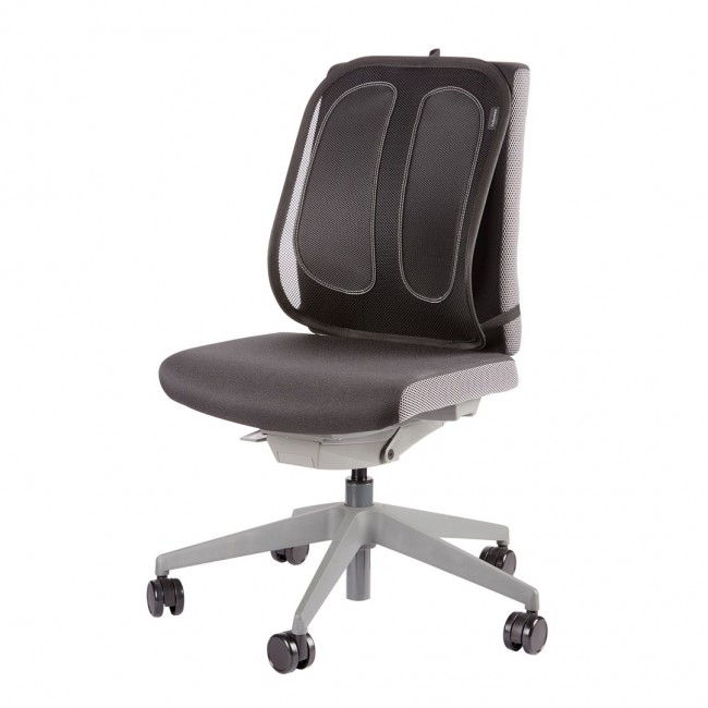 Fellowes Back Support for Office Chair - Office Suites Mesh Back Support with Mesh Fabric - H51.28 x W43.97 x D14.13cm Fellowes Back Support for Office Chair - Office Suites Mesh Back Support with Mesh Fabric - H51.28 x W43.97 x D14.13cm