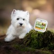 VETEXPERT Raw Paleo Pate Mini Adult Beef - wet dog food - 150 g
