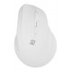NATEC Crake 2 mouse Universal Right-hand RF Wireless + Bluetooth Optical 2400 DPI NATEC Crake 2 mouse Universal Right-hand RF Wireless + Bluetooth Optical 2400 DPI