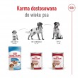 ROYAL CANIN Medium Loaf - wet dog food - 410g