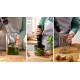 Bosch Serie 4 MSM4B621 blender 0.6 L Immersion blender 1000 W Anthracite, Transparent Bosch Serie 4 MSM4B621 blender 0.6 L Immersion blender 1000 W Anthracite, Transparent