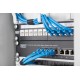 Digitus 10
