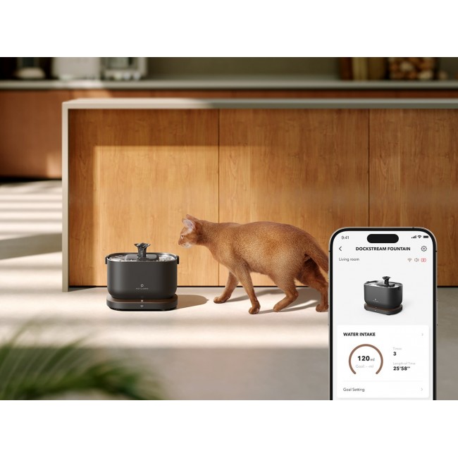 Petlibro Dockstream Smart dog/cat feeder/waterer Acrylonitrile butadiene styrene (ABS), Stainless steel Black Automatic pet waterer