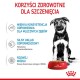 ROYAL CANIN Maxi Puppy SHN - wet dog food - 10x140g ROYAL CANIN Maxi Puppy SHN - wet dog food - 10x140g