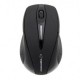 Esperanza EM101K mouse Ambidextrous RF Wireless Optical 1000 DPI