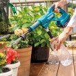 MAKITA. WASHER 18V DHW180Z