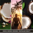 BLACK COCONUT YANKEE Scented Air Freshener