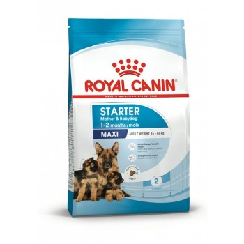 ROYAL CANIN SHN Maxi Starter Mother & Babydog - dry dog food - 4 kg