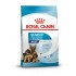 ROYAL CANIN SHN Maxi Starter Mother & Babydog - dry dog food - 4 kg