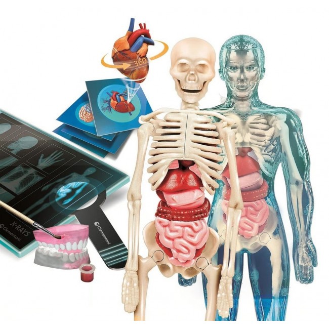 Clementoni Set Super Anatomy