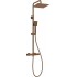 Showerhead with thermostatic mixer