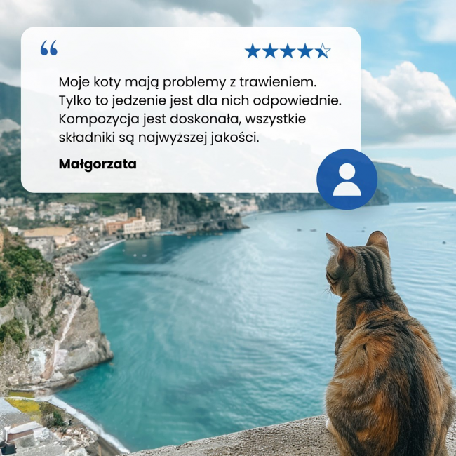 FARMINA N&D Ocean Cat Cod, Shrimp, Pumpkin and Cantaloupe Melon Kitten - dry cat food - 1.5 kg