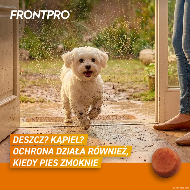 FRONTPRO Flea and tick tablets for dog (2-4 kg) - 3x 11,3mg