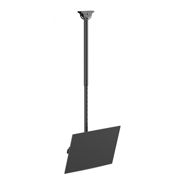 Neomounts CL35-440BL16L Monitor/TV mount ceiling 37-70
