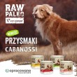VETEXPERT Raw Paleo Cabanossi Game Medium Large - dog treat - 100g