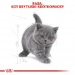 Royal Canin British Shorthair Kitten cats dry food 2 kg Poultry, Rice, Vegetable
