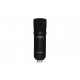 Marantz MPM1000U - USB condenser microphone