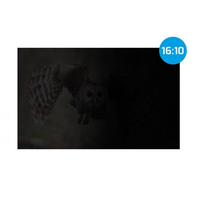 NATEC NFP-2287 display privacy filter 40.6 cm (16