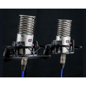 Aston Microphones Origin Stereo Pair Condenser