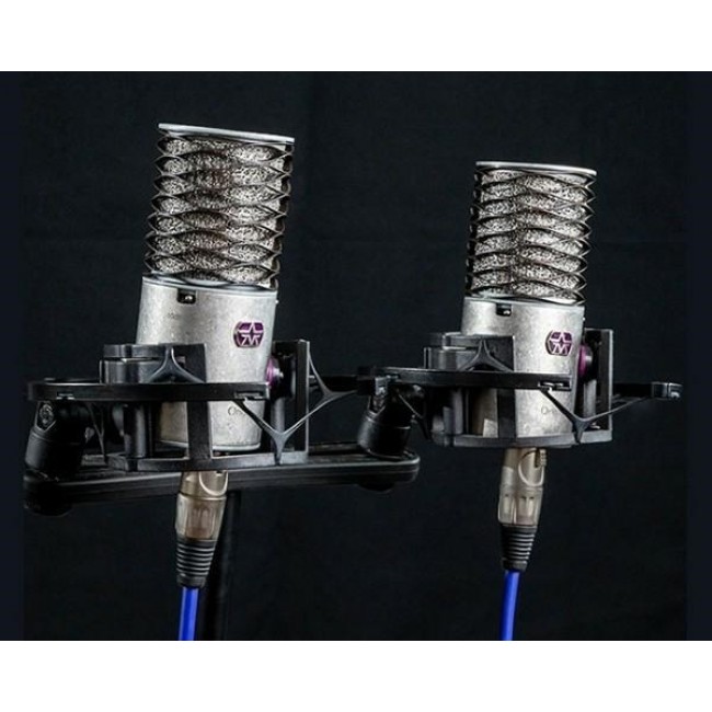 Aston Microphones Origin Stereo Pair Condenser