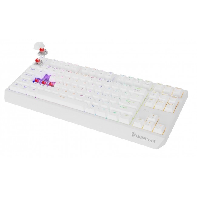 GENESIS Thor 230 TKL keyboard Gaming USB + RF Wireless + Bluetooth QWERTY US English White