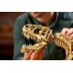 LEGO JURASSIC WORLD 76968 Dinosaur Fossils: Tyrannosaurus rex LEGO JURASSIC WORLD 76968 Dinosaur Fossils: Tyrannosaurus rex