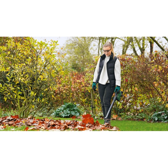 Bosch LeafBlower Lithium-Ion (Li-Ion)