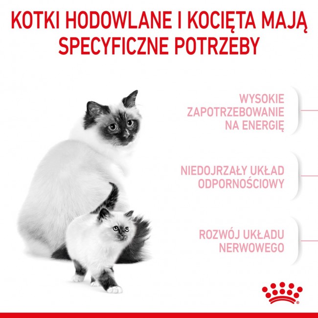 Royal Canin Mother & Babycat cats dry food 2 kg