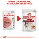 ROYAL CANIN FHN Instinctive - wet pate food for adult cats - 12x 85g ROYAL CANIN FHN Instinctive - wet pate food for adult cats - 12x 85g