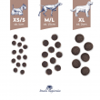 BALTICA Smaki region w Small breeds Venison with forest fruits - dry dog food - 1kg